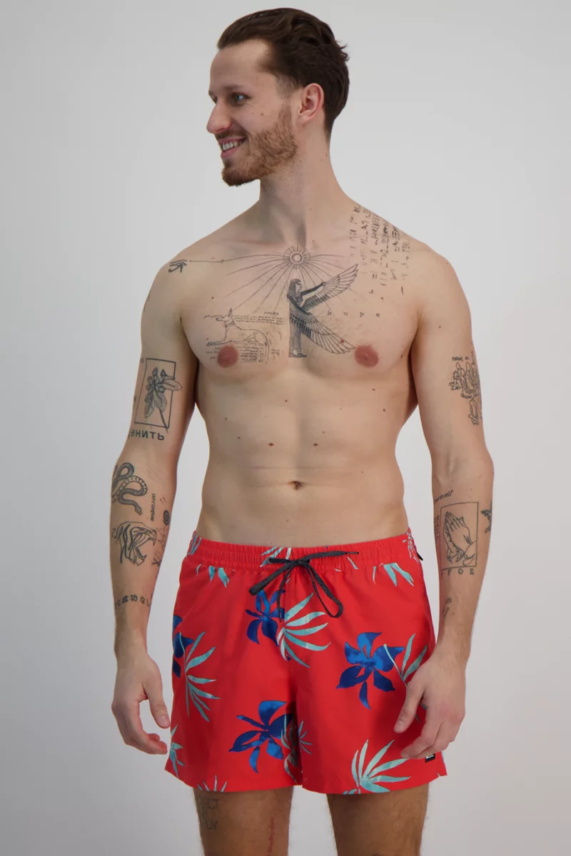 Quiksilver Everyday Mix Volley 15 Inch Herren Badeshort
