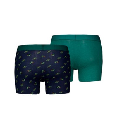 Boxer homme Cactus Aop 2P LEVIS