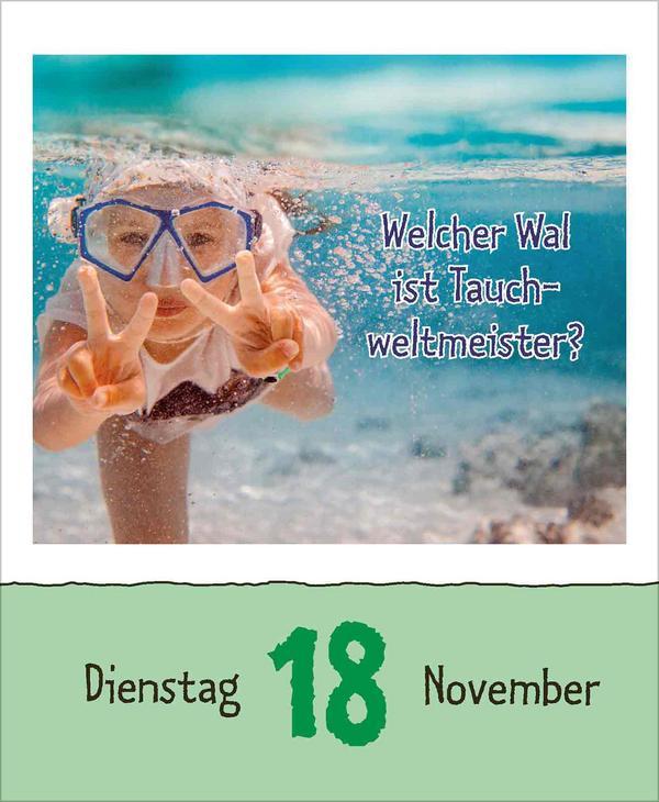 Wie faul ist das Faultier? 2025
