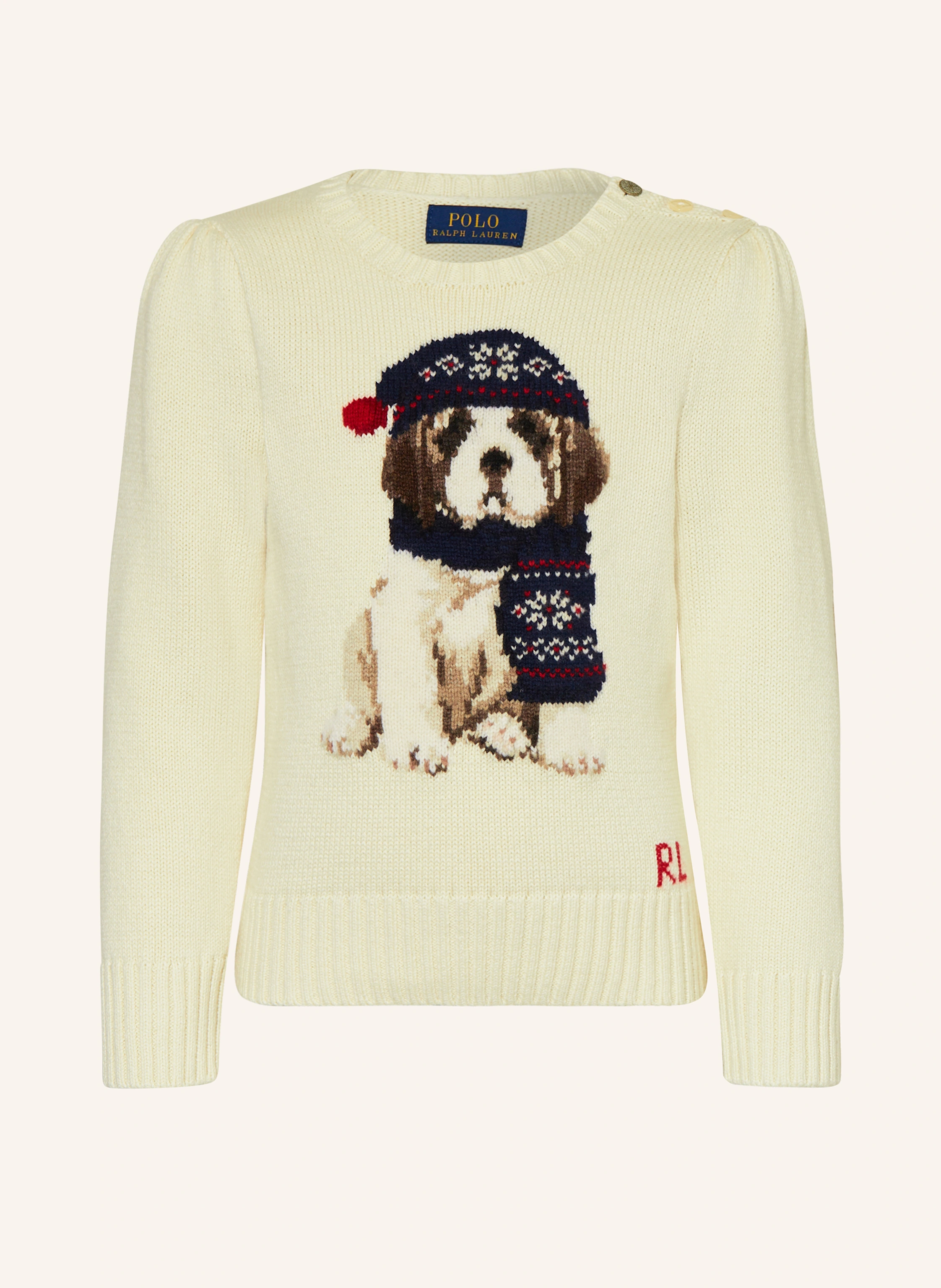 POLO RALPH LAUREN Pullover