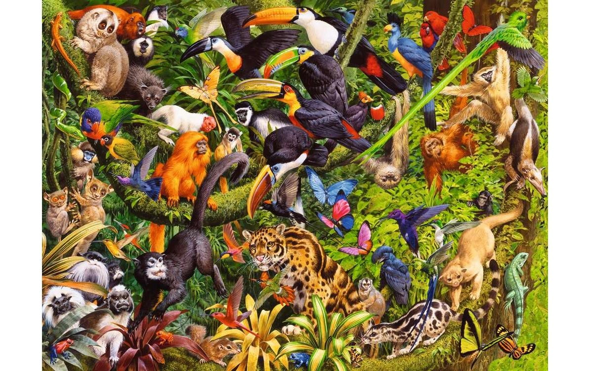 Ravensburger Puzzle »Bunter Dschungel«