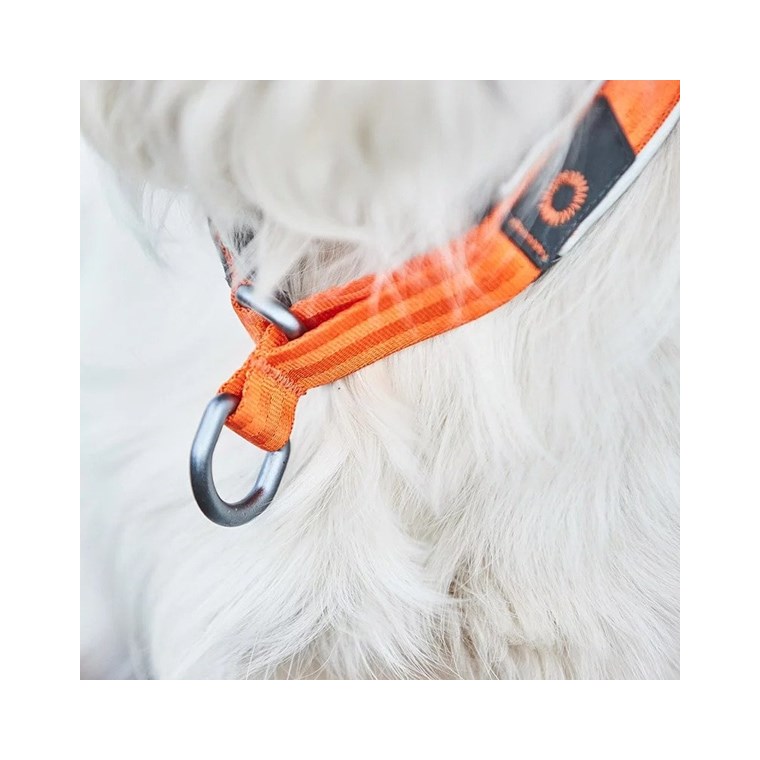 Non-stop dogwear Cruise Collar Orange
