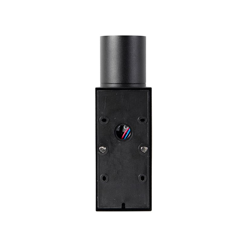 Buiten wandlamp zwart 2-lichts IP44 met schemersensor - Duo