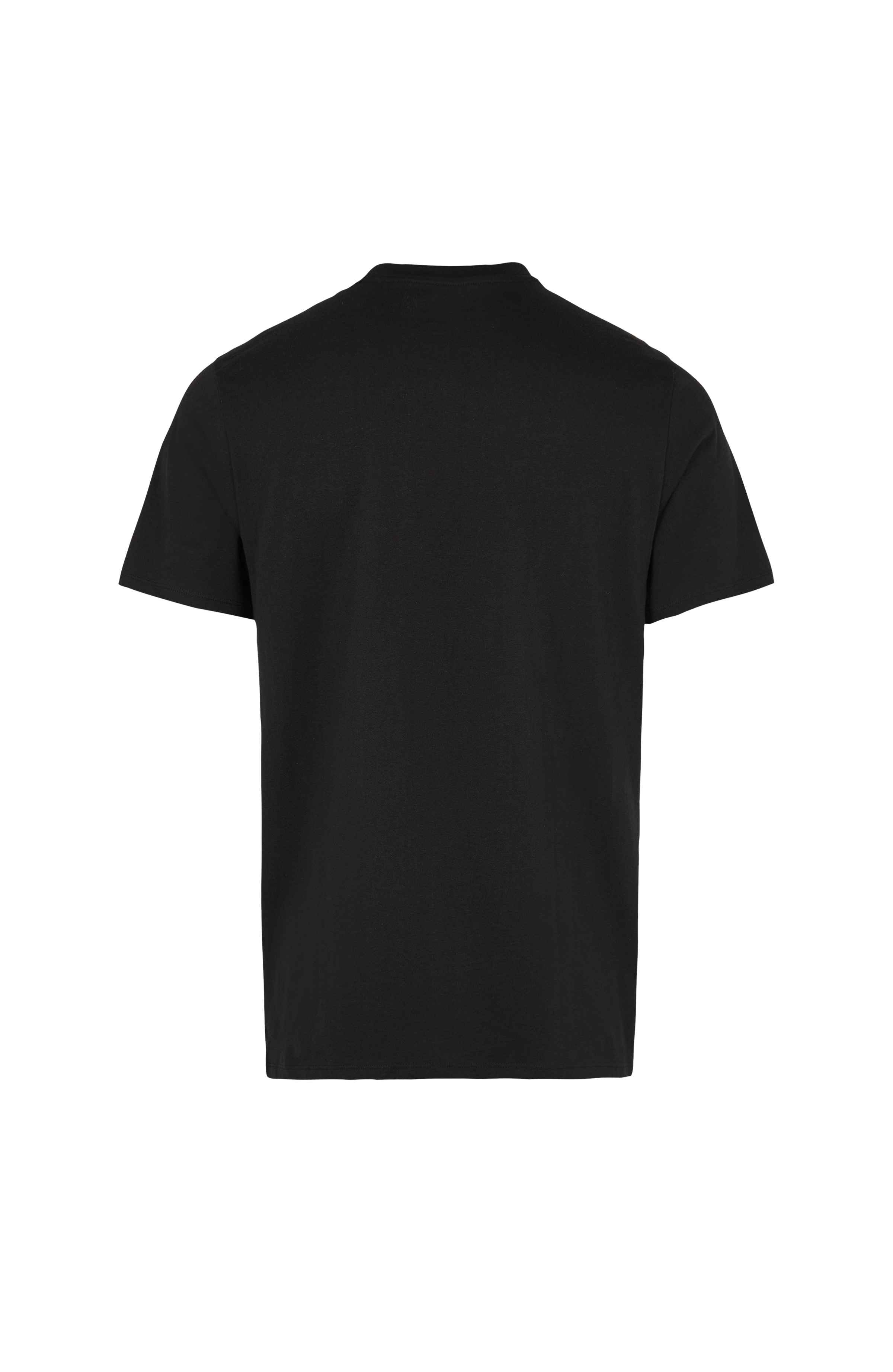 Small Logo T-shirt O`Neill Zwart