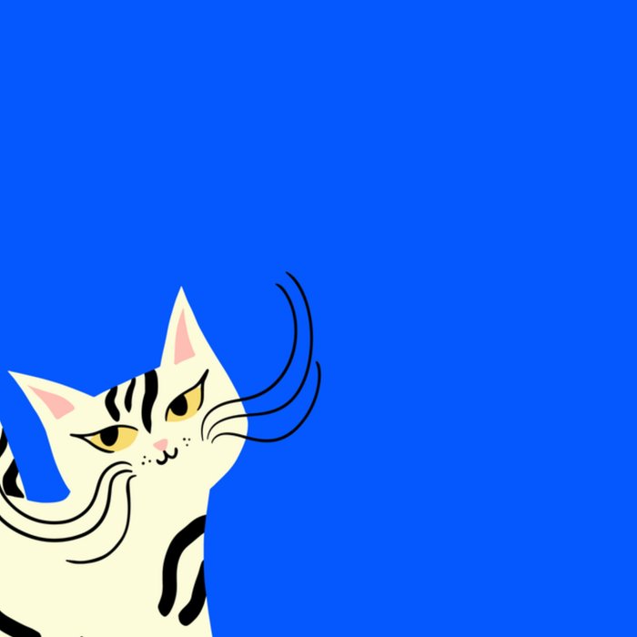 Greetz | Verjaardagskaart | kat | illustratie