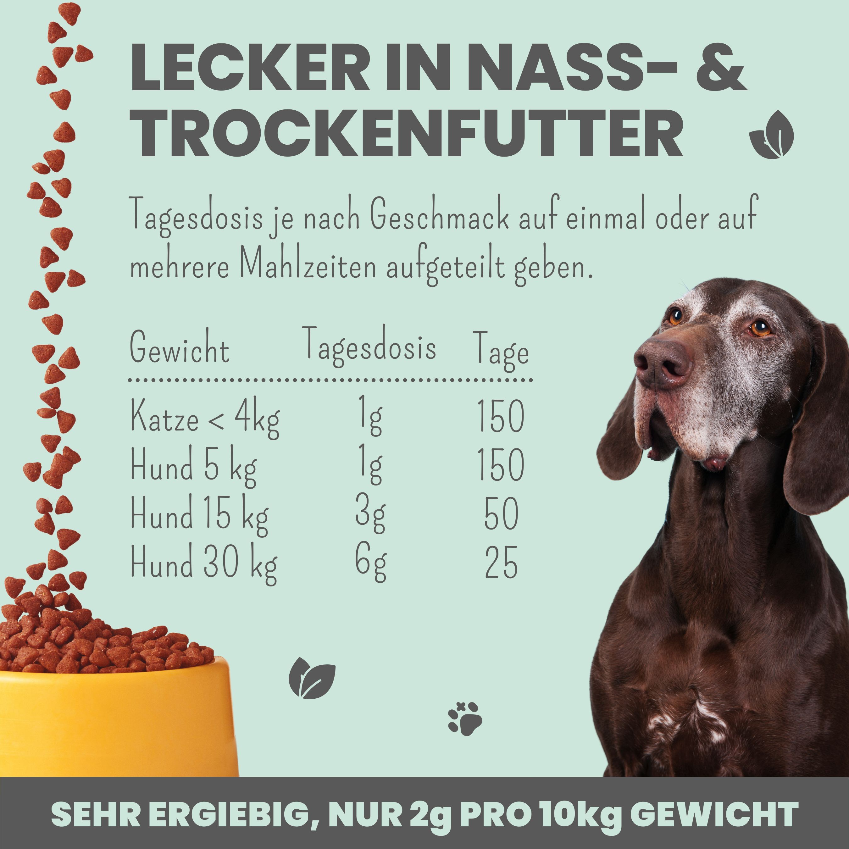 noms+ Gelenkmix für Hunde & Katzen mit Teufelskralle, Kurkuma & Glucosamin