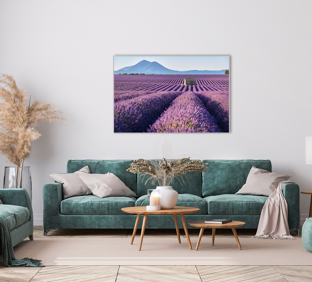 Akustikbild LAVENDELFELD 8 80x120cm, 7kg