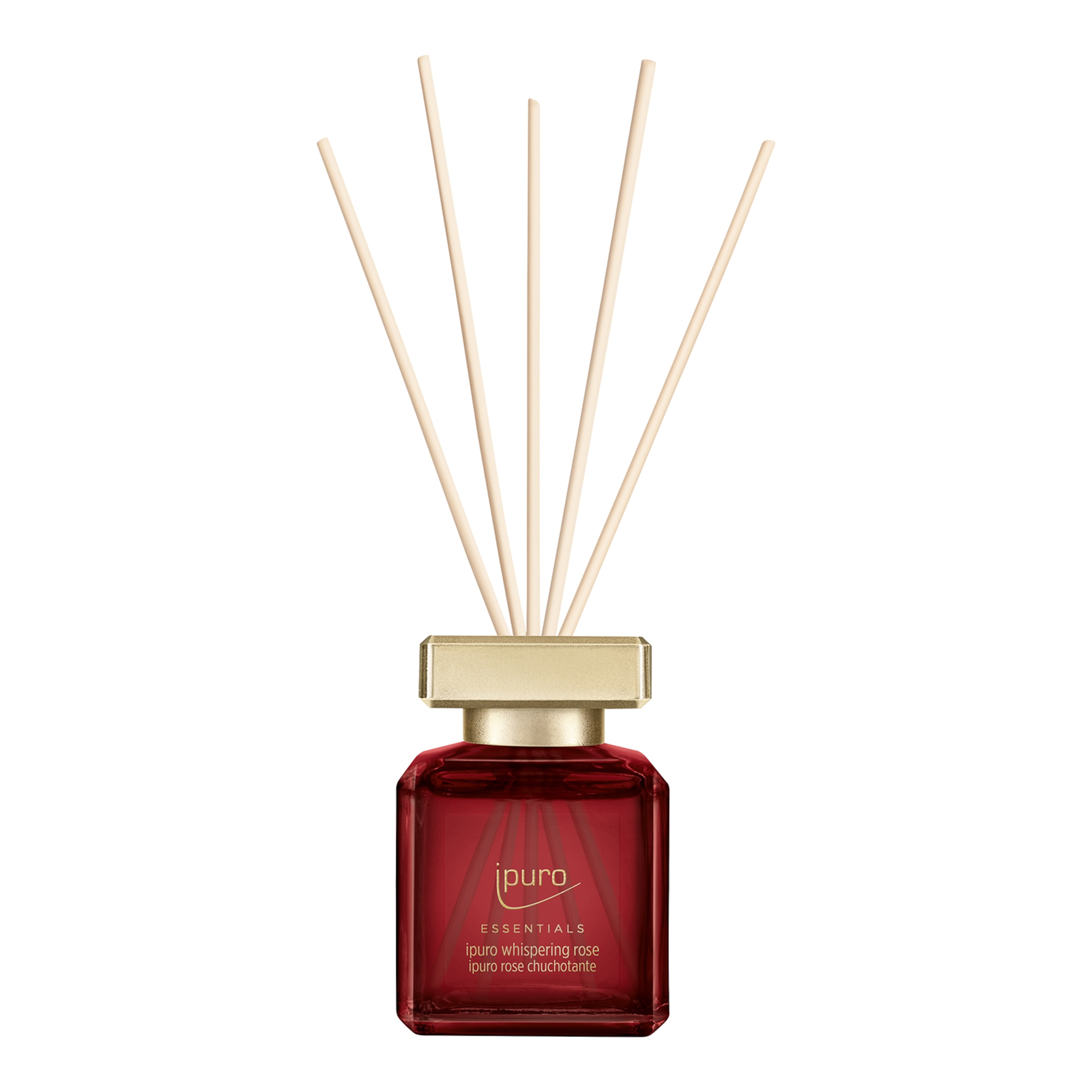 rot, 100 ml