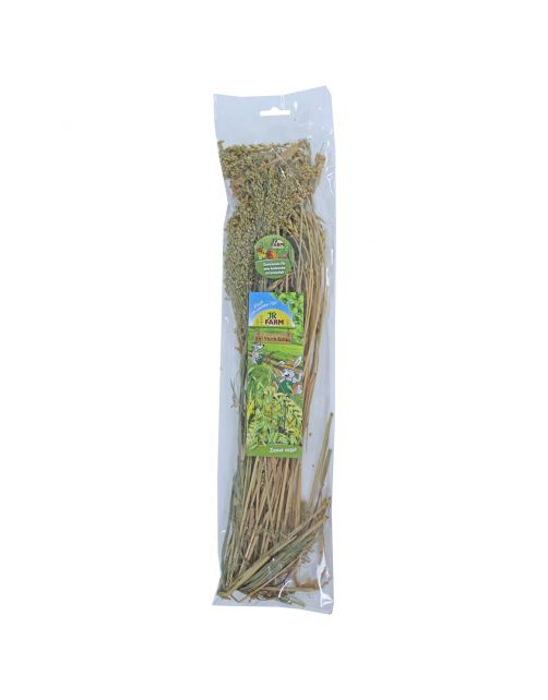 Jr Farm Zomer-Oogst - Ruwvoer - 16x3x60 cm 80 g