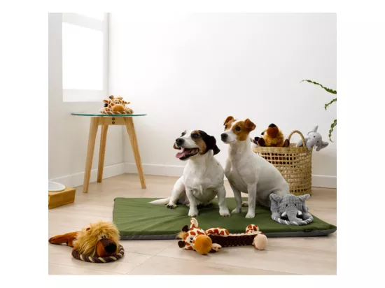 Peluche pour Chien 