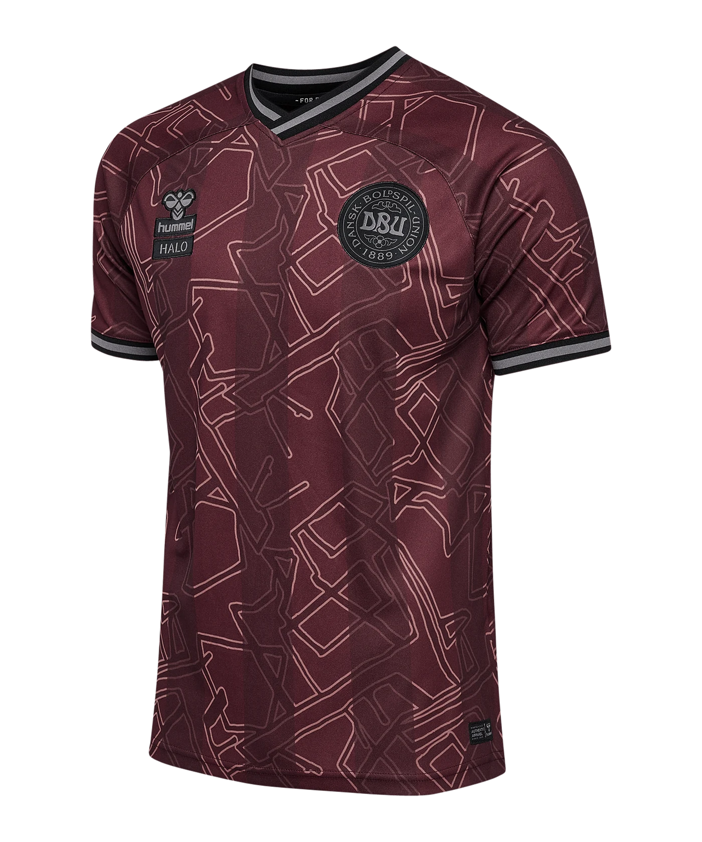 Hummel Dänemark x Halo Trikot 2024 Blau F8186