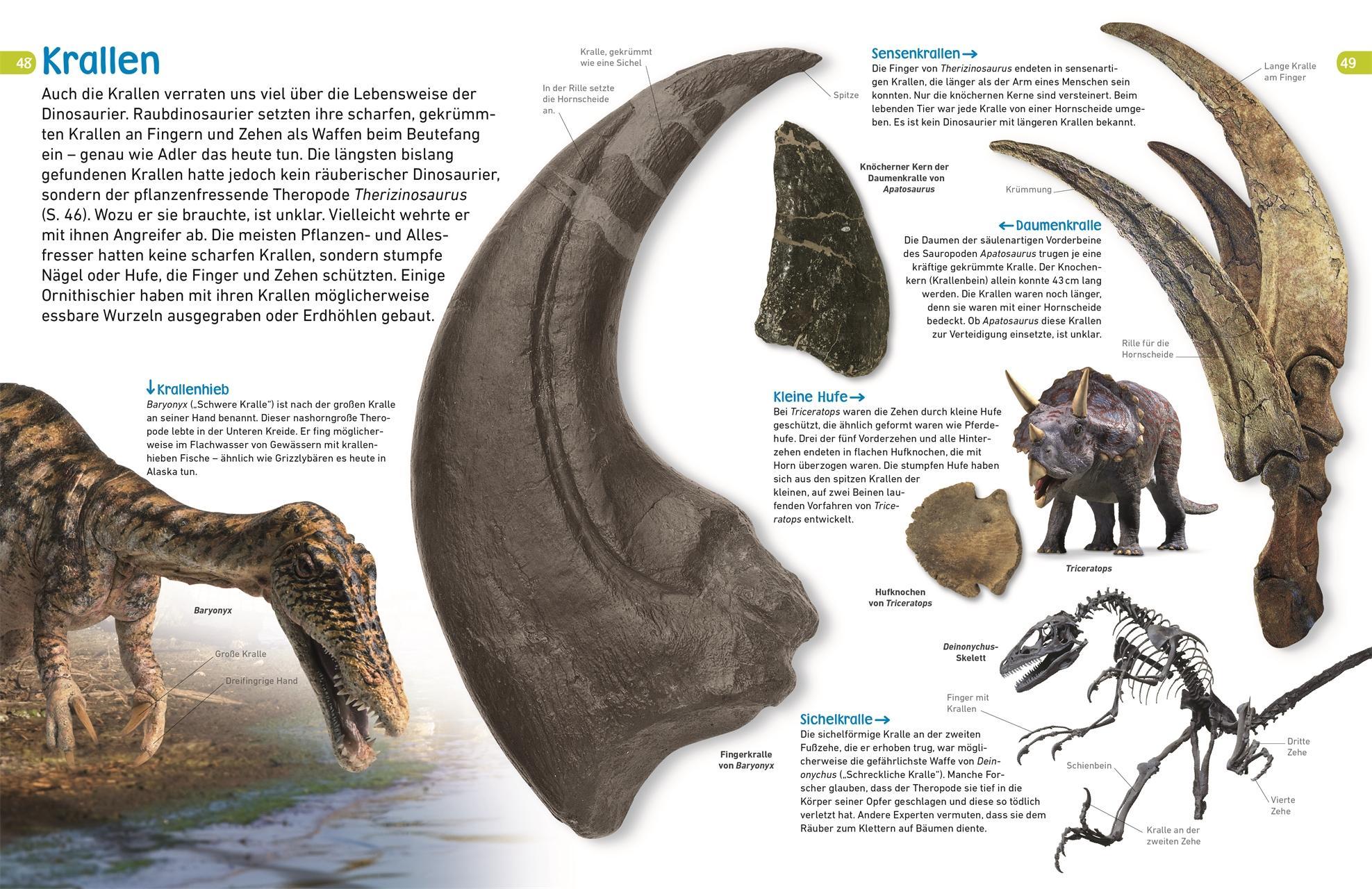 memo Wissen entdecken. Dinosaurier