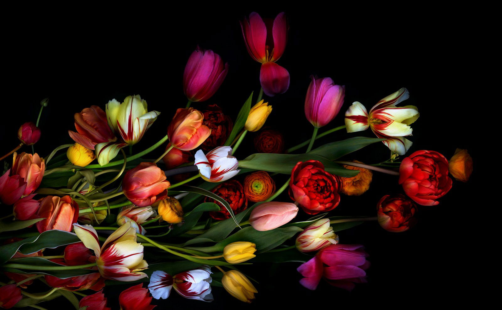 Dusk Blossom II by Juan Fortes - Open Edition.