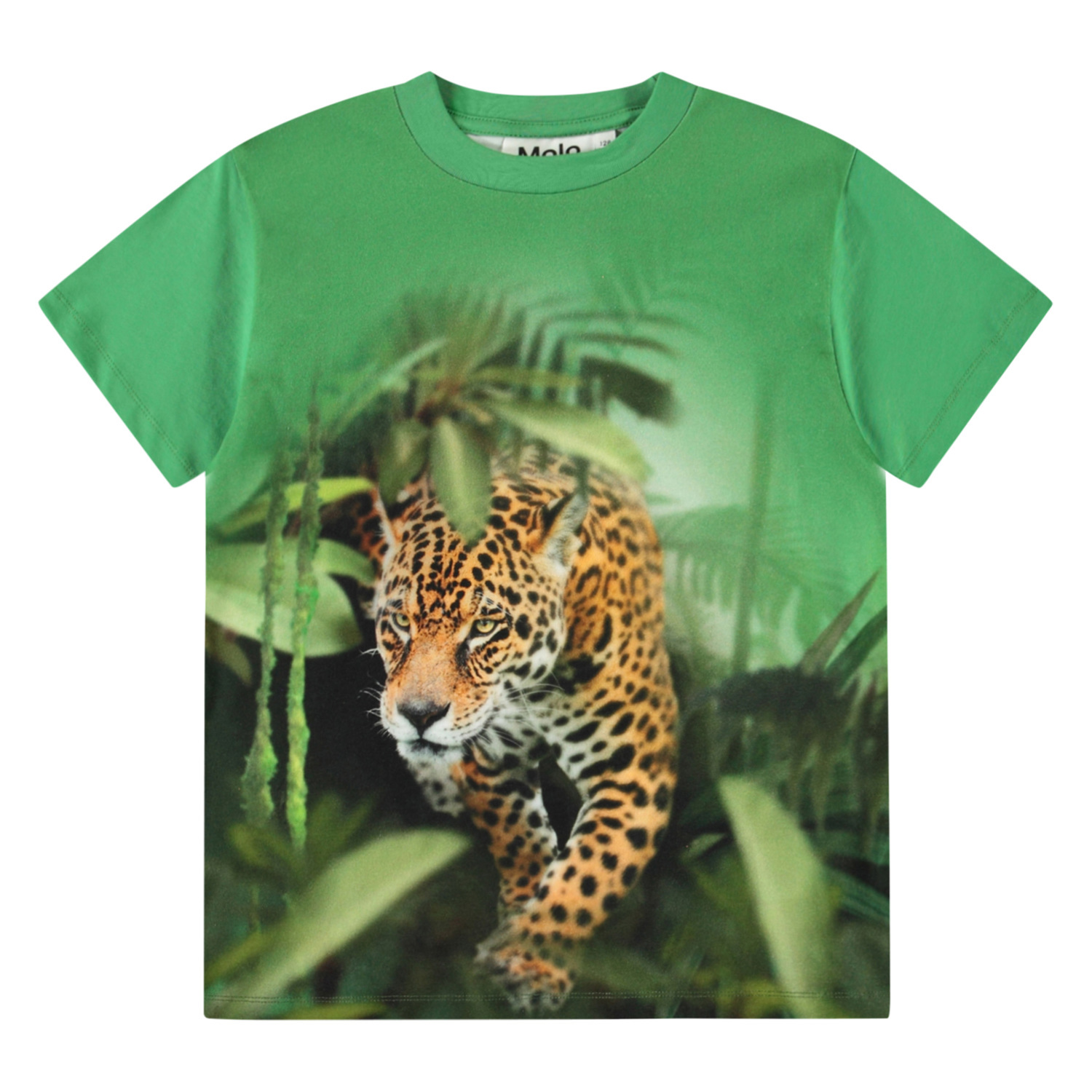 Riley - Jaguars