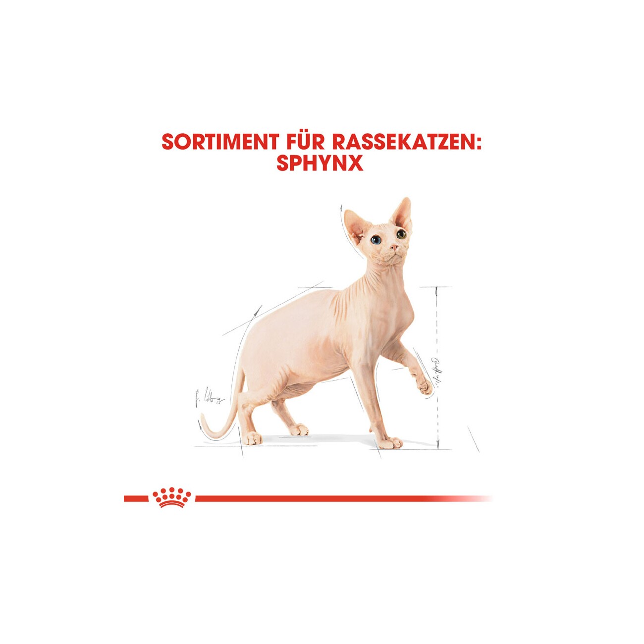 ROYAL CANIN Sphynx Adult 2 kg