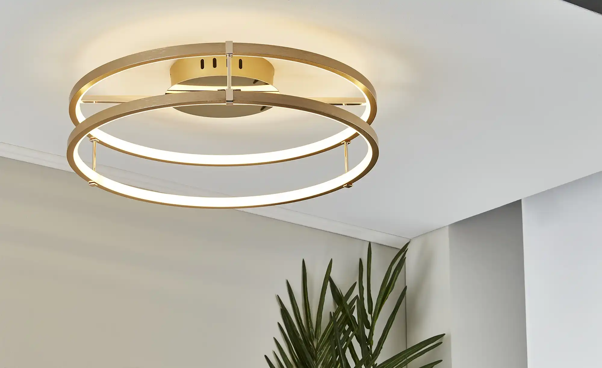 Meisterleuchten LED-Deckenleuchte