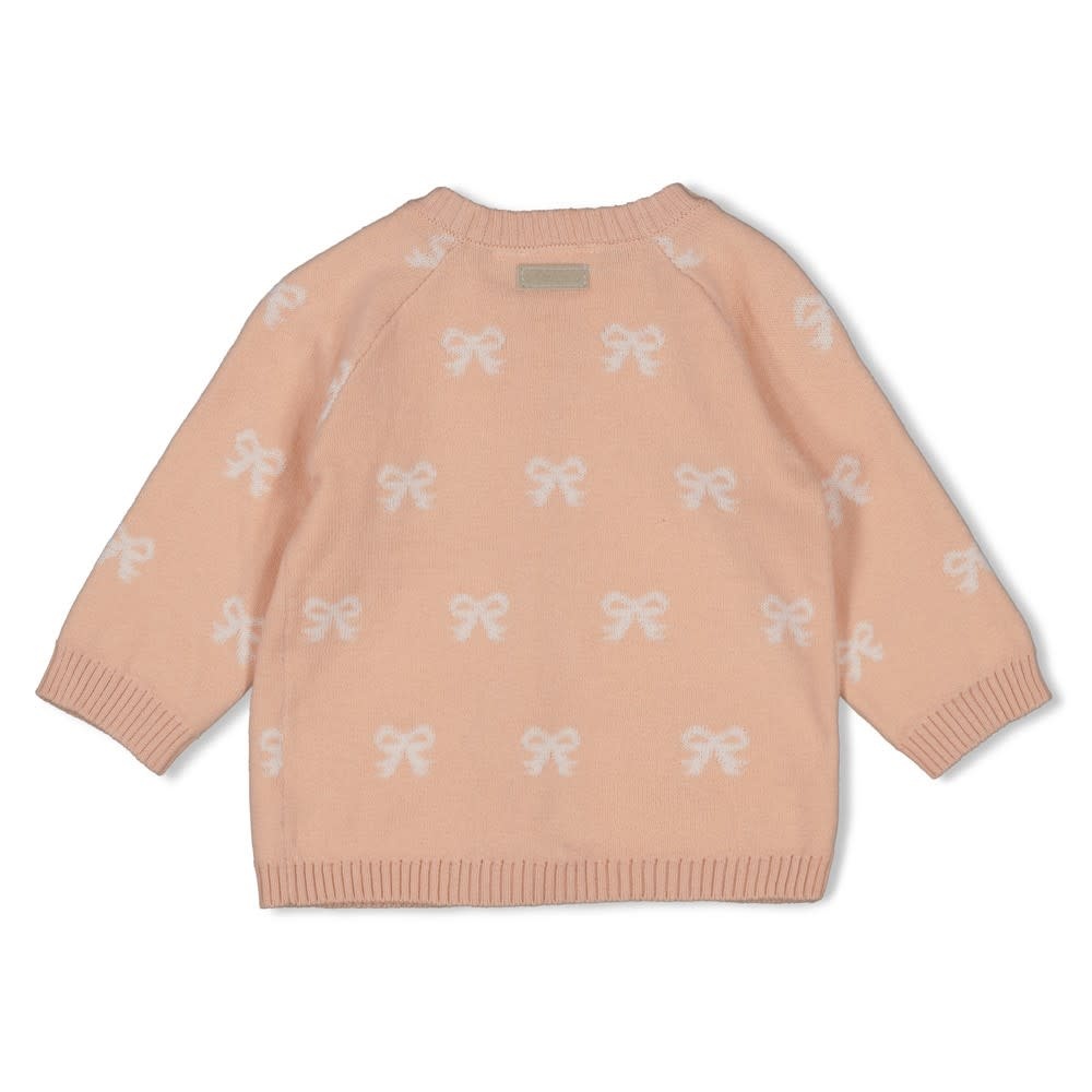 Feetje Feetje vestje gebreid ao - The Knits roze