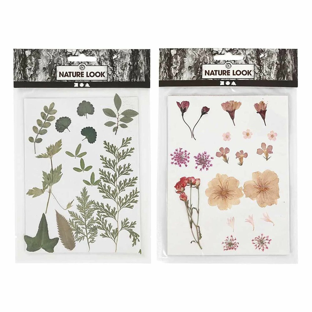 40 fleurs et feuilles séchées - rose & vert