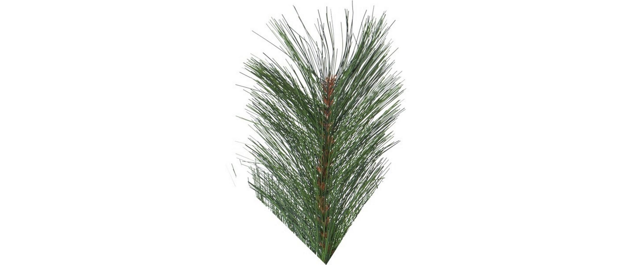 Weihnachtsbaum Cembra, 2.4 m, Grün<br>Weihnachtsbaum ohne Licht