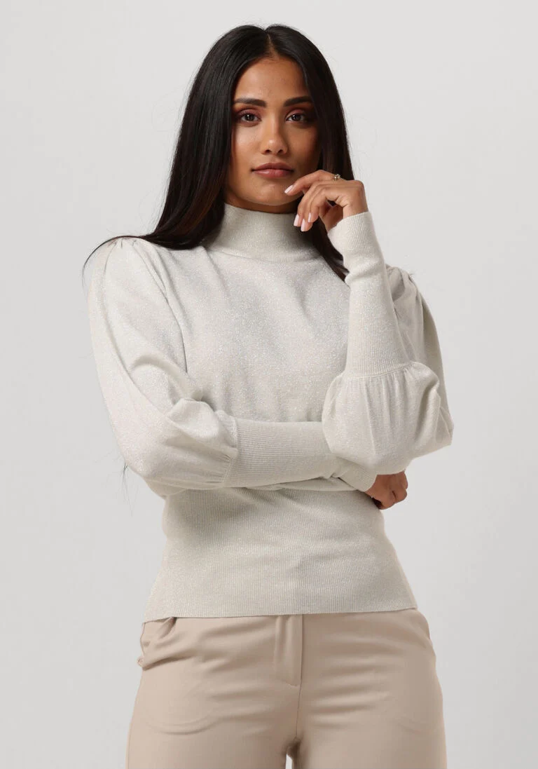 SILVIAN HEACH zilveren silvian heach trui lupetto m/l -sweater