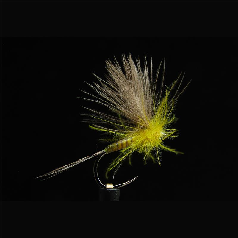 Mouche Jmc Emergentes Mrg 127 Bl