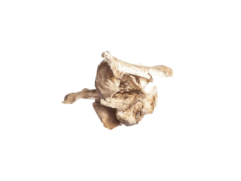 PetDK Cikorierødder (120g)