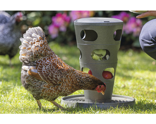 Kippenvoedertoren Beeztees grijs 30 x 30 x 36 cm gerecycled plastic