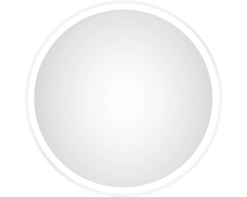 LED badkamerspiegel DSK wit rond mat Ø60cm IP 24
