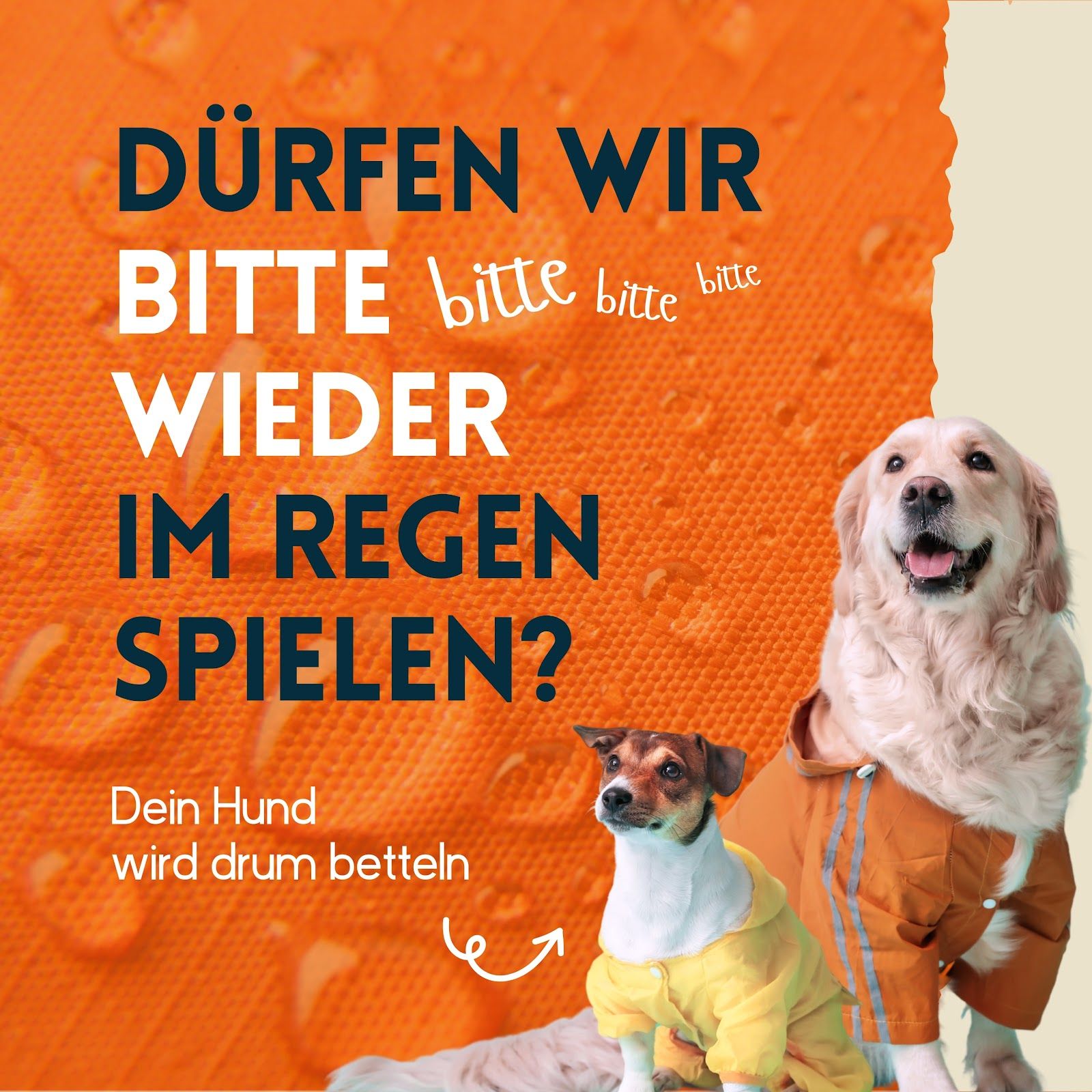 nimo Imprägnierspray für Hundebekleidung