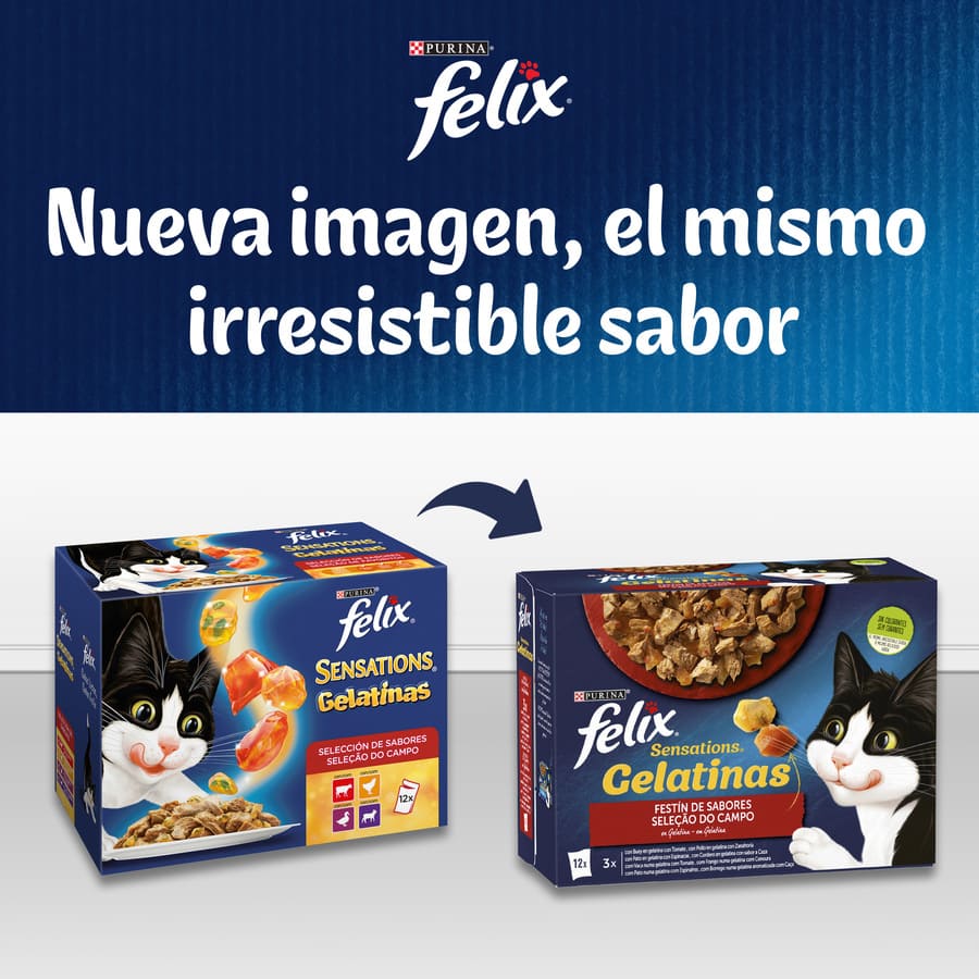 Sachês de gelatina Felix Sensations Festa de Sabores