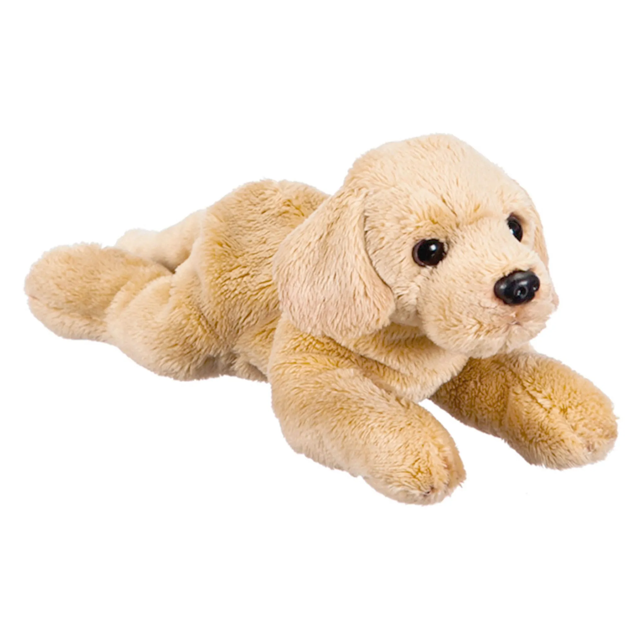 Douglas Labrador Lettie