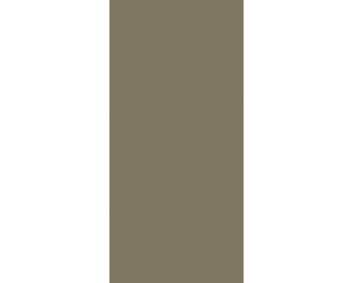 Douchewandset SCHULTE DecoDesign ExpressPlus effen kleur taupe 210 x 90 cm EP1900911 678