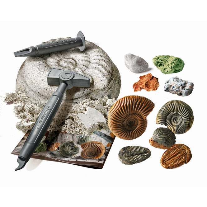 Galileo DISCOVERY -  Ausgrabungs-Set - Fossilien & Mineralien