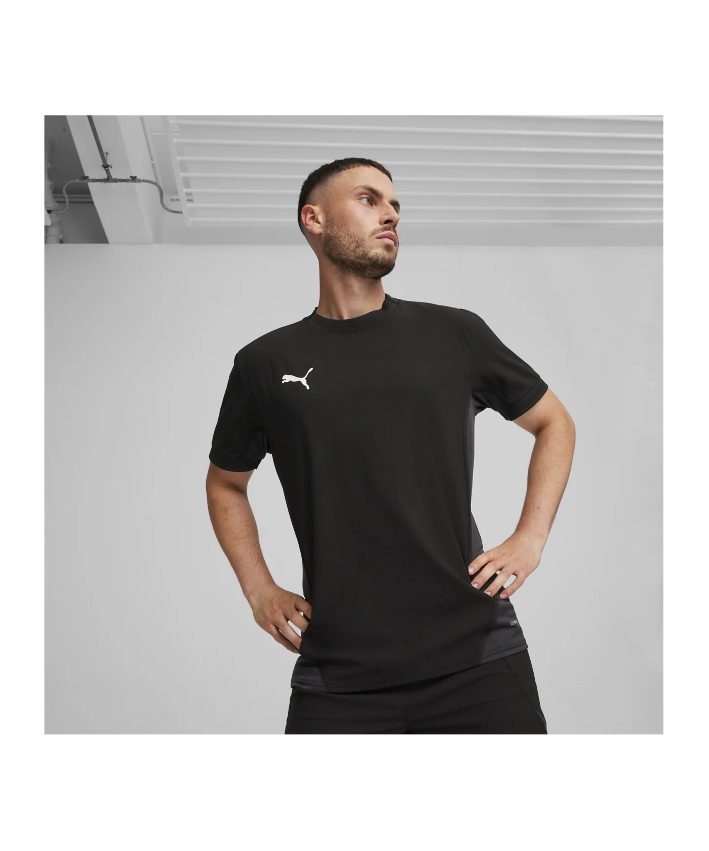 PUMA teamFINAL Trikot Schwarz Weiss Grau F03