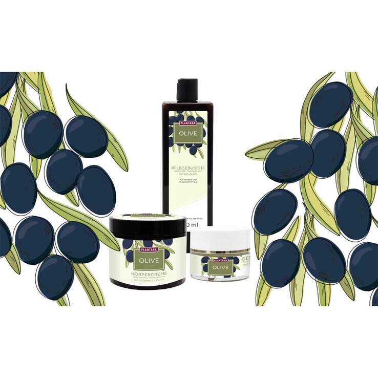Plantana Olive Körpercreme mit Vitamin-E, 500 ml
