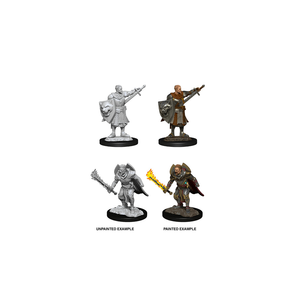 Pathfinder Deepcuts Unpainted Miniatures: Human Champion Male