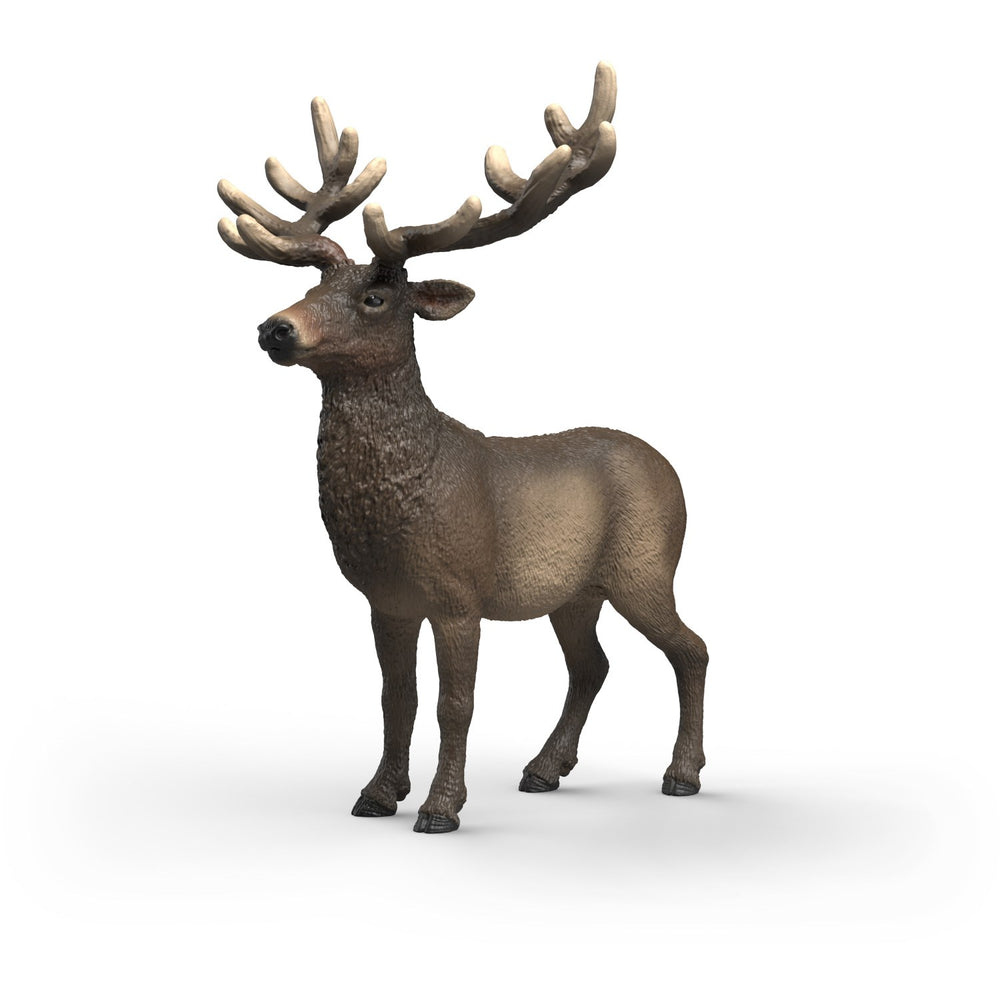 Køb Schleich Elg