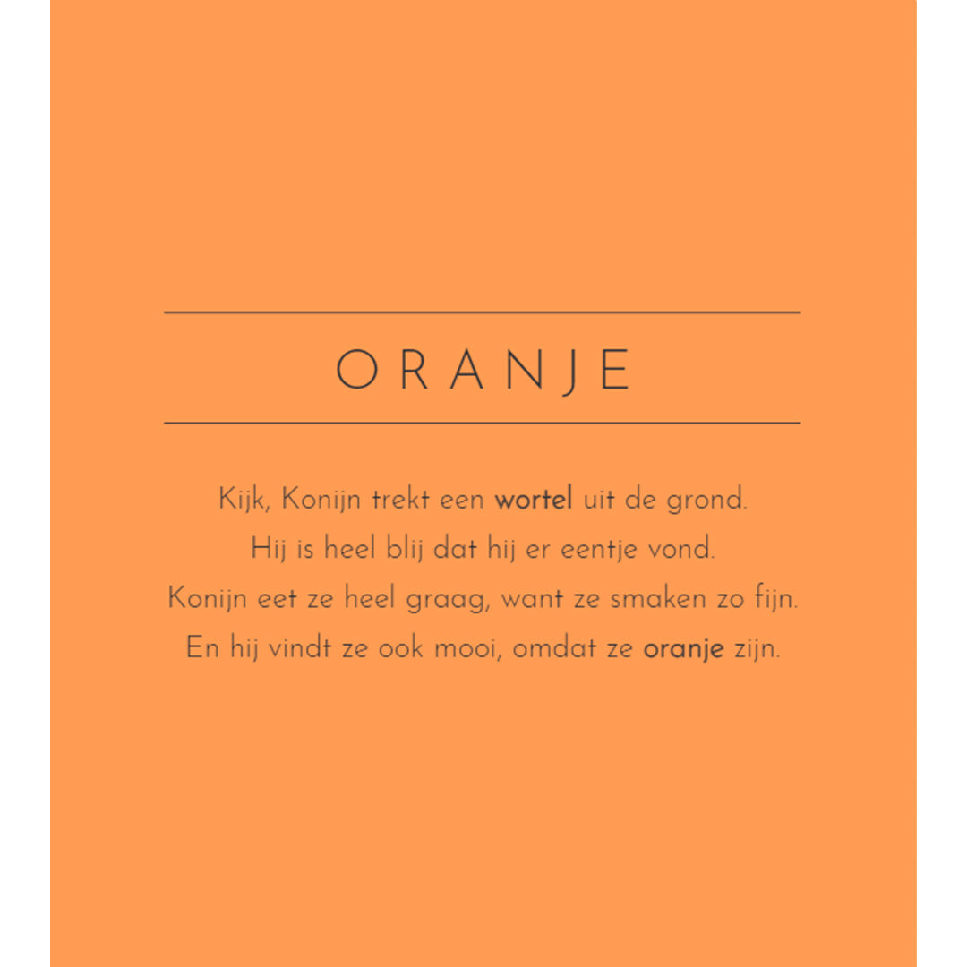 Uitgeverij rebo mijn eerste voelboek - kleuren