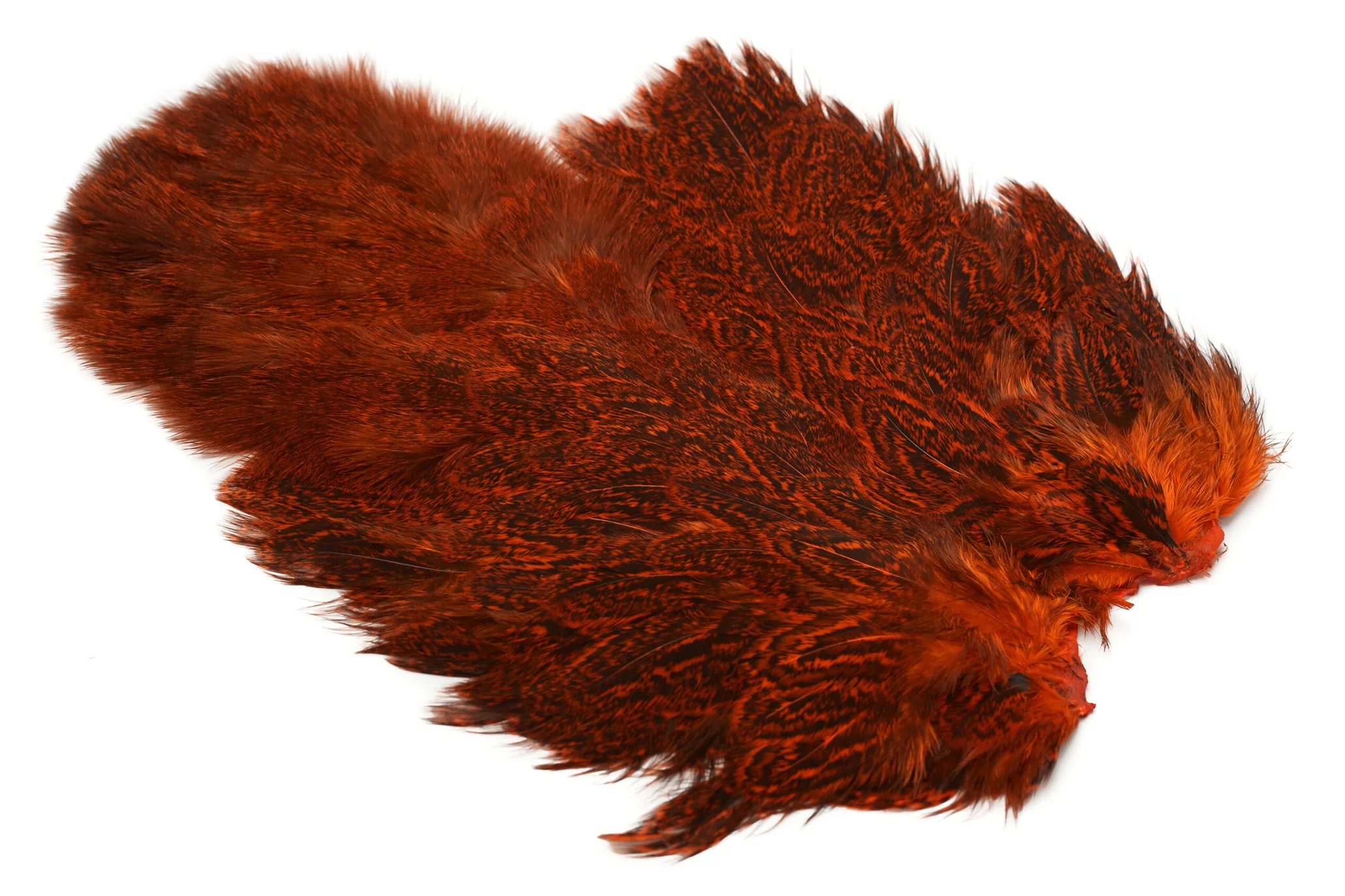 Whiting Coq De Leon Hen
