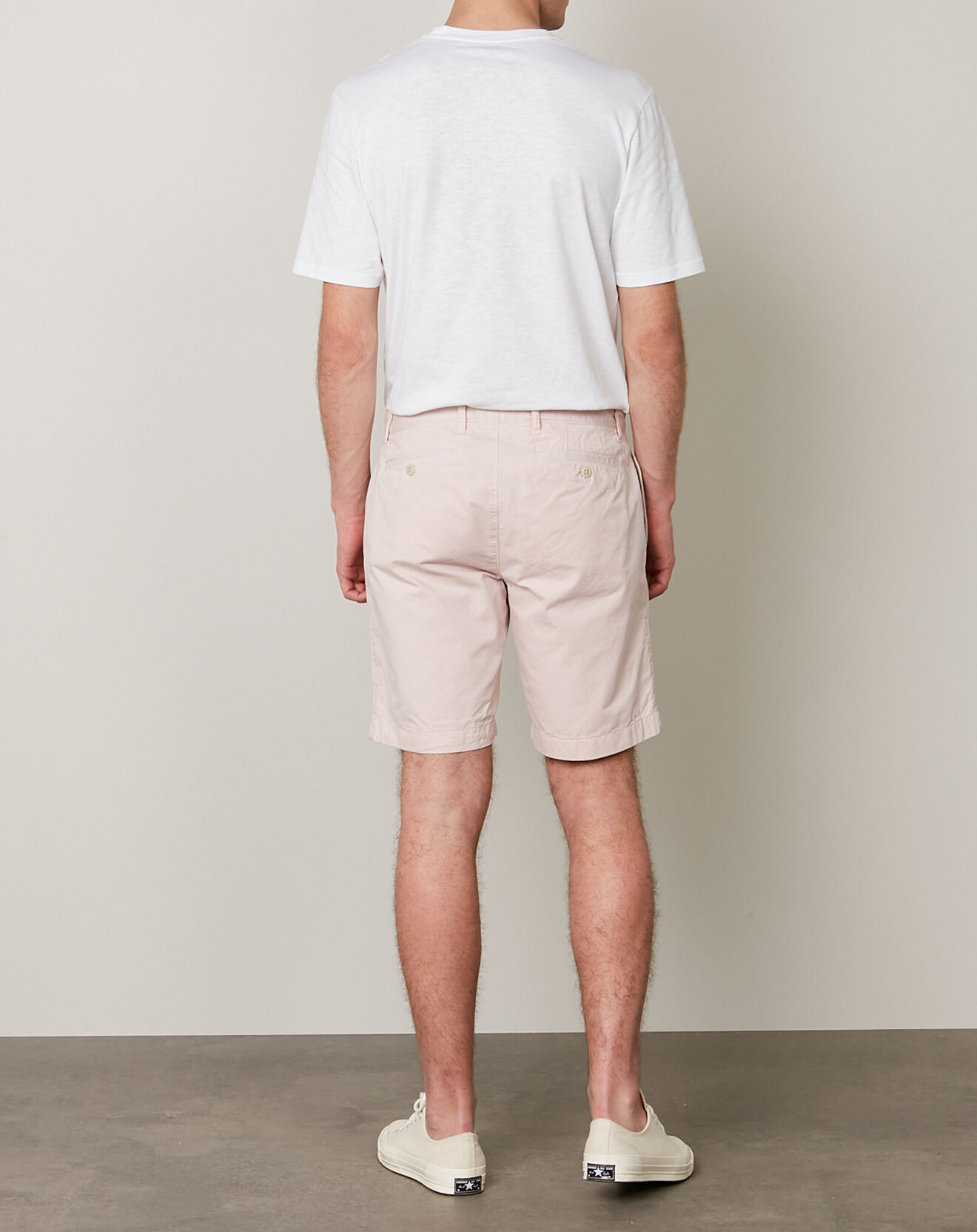 Hartford Short Texas  rose
