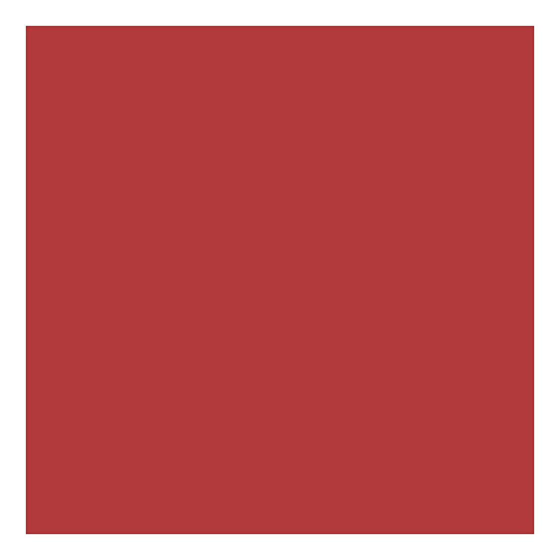 Karton Rood A4 220g, 10st.