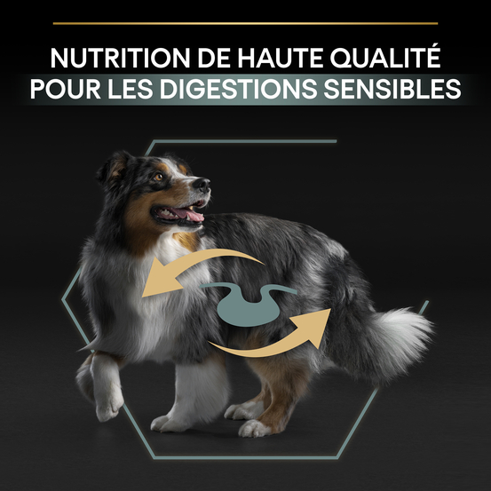Croquettes chien adulte digestion difficile à l'agneau - 14 kg