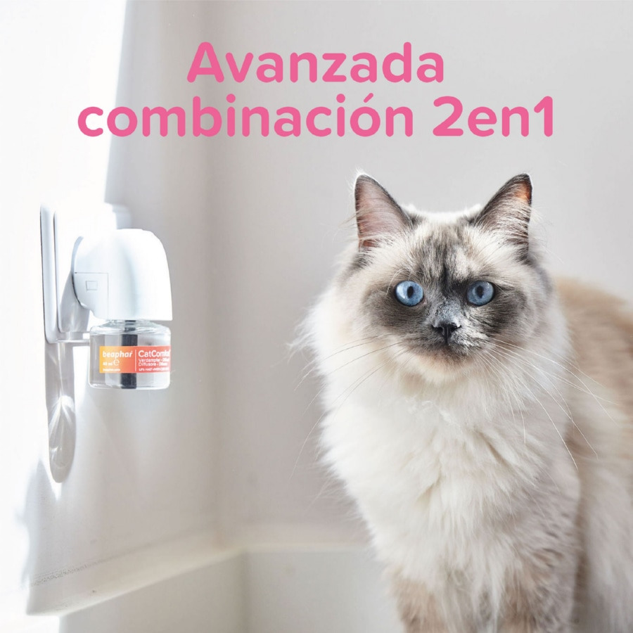 Difusor de feromônios Beaphar CatComfort Excellence para gatos