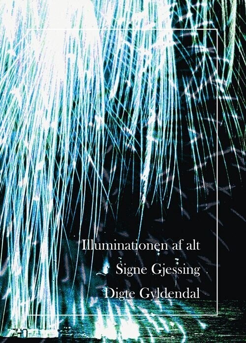 Illuminationen Af Alt - Signe Gjessing - Bog