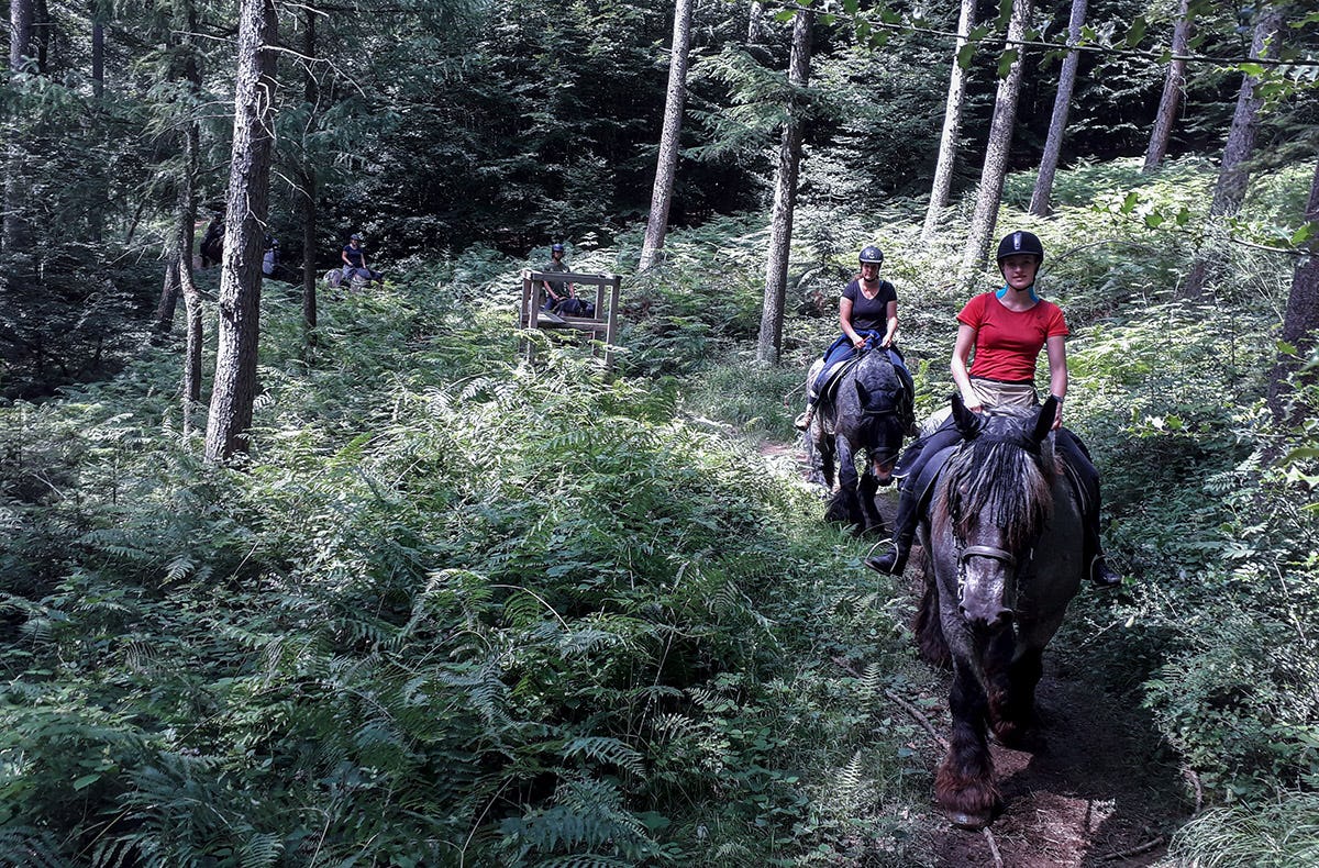 Reiten Windeck