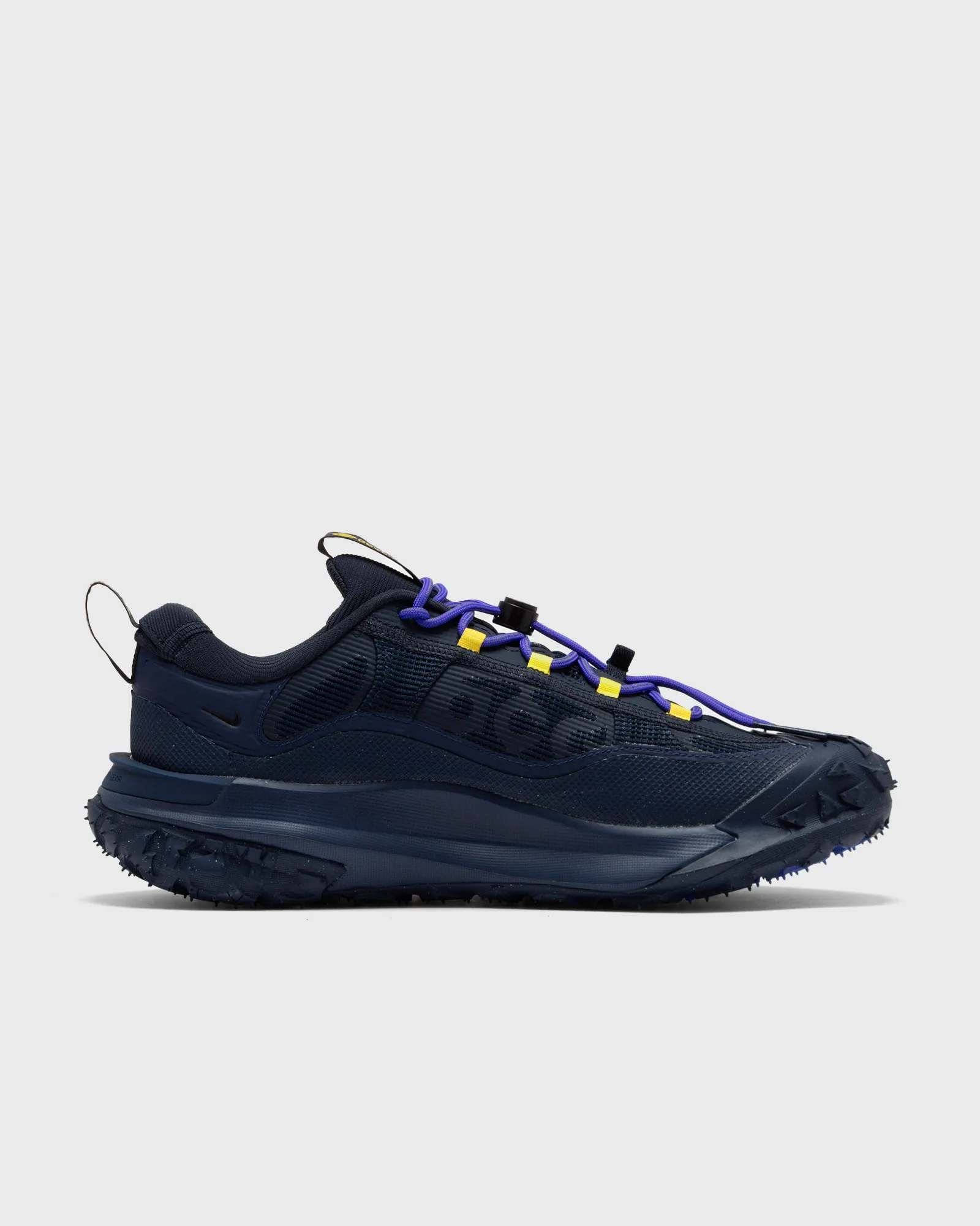 Nike ACG MOUNTAIN FLY 2 LOW GTX