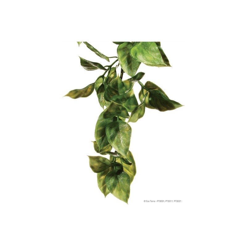 Exo Terra Terrário de plástico para pendurar, planta Papoula, tamanho G