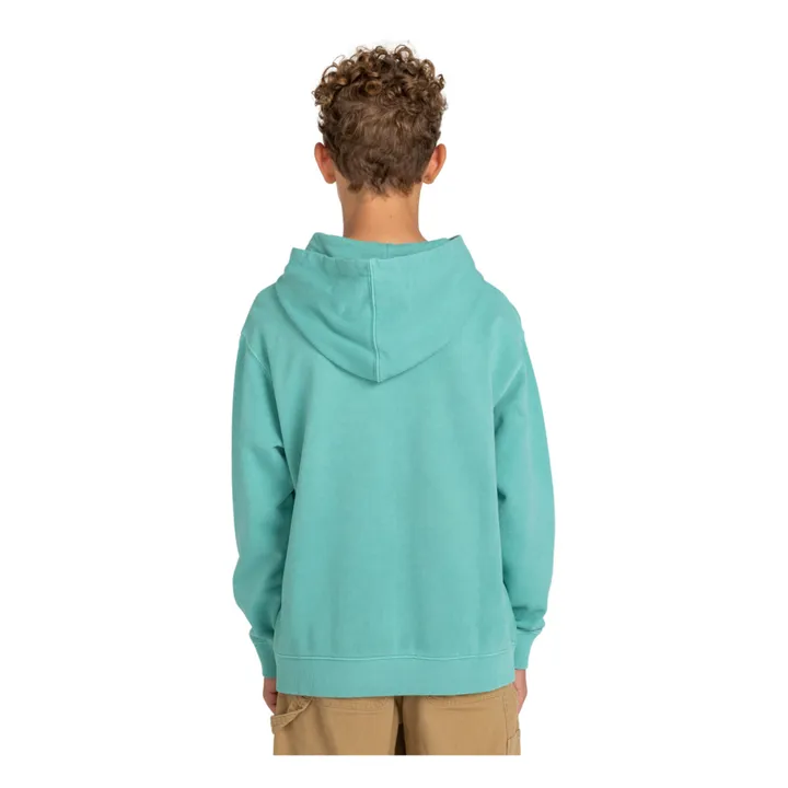 Element Sweat Capuche Cornell | Turquoise