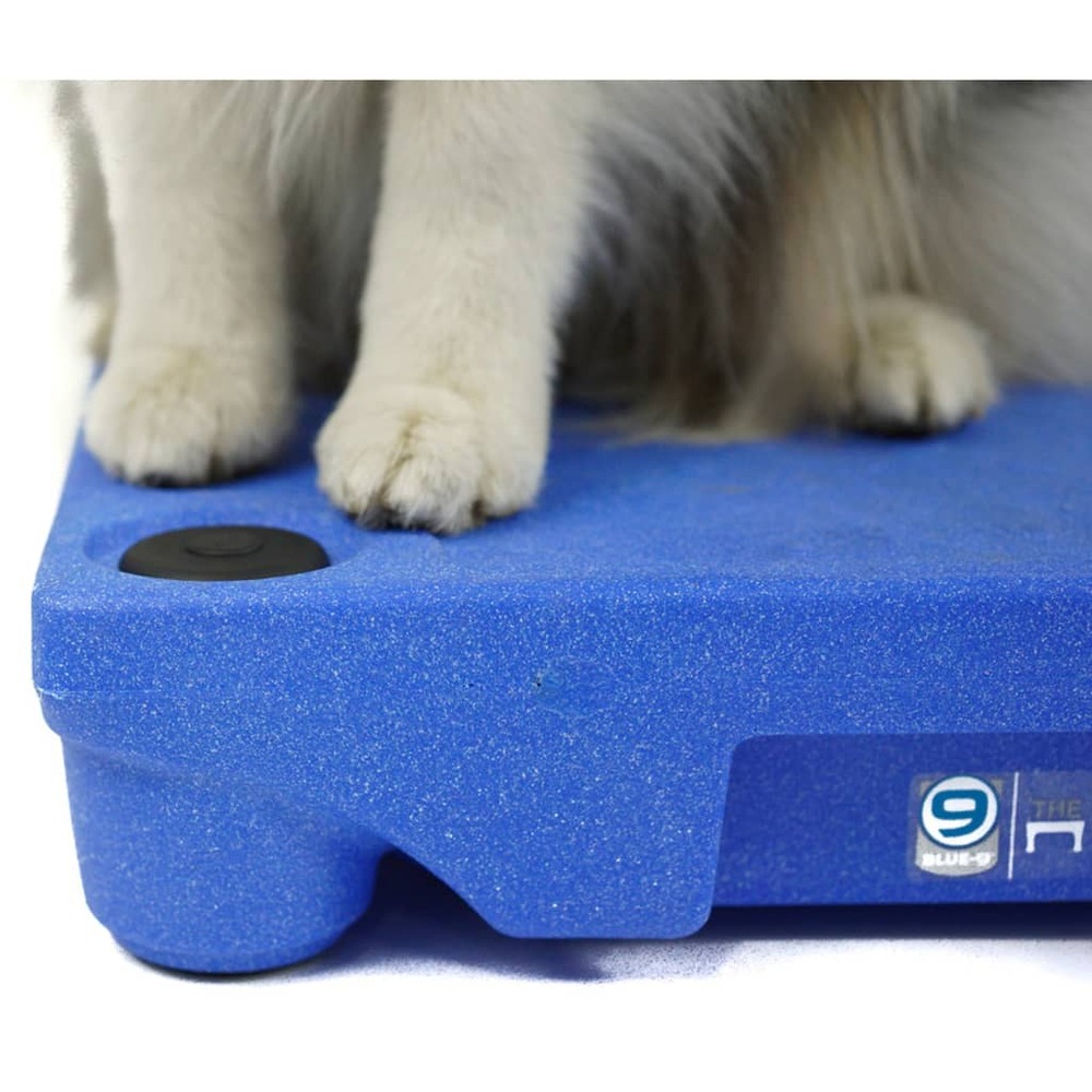 Pieds de sécurité pour système de dressage de chien klimb 4 pcs