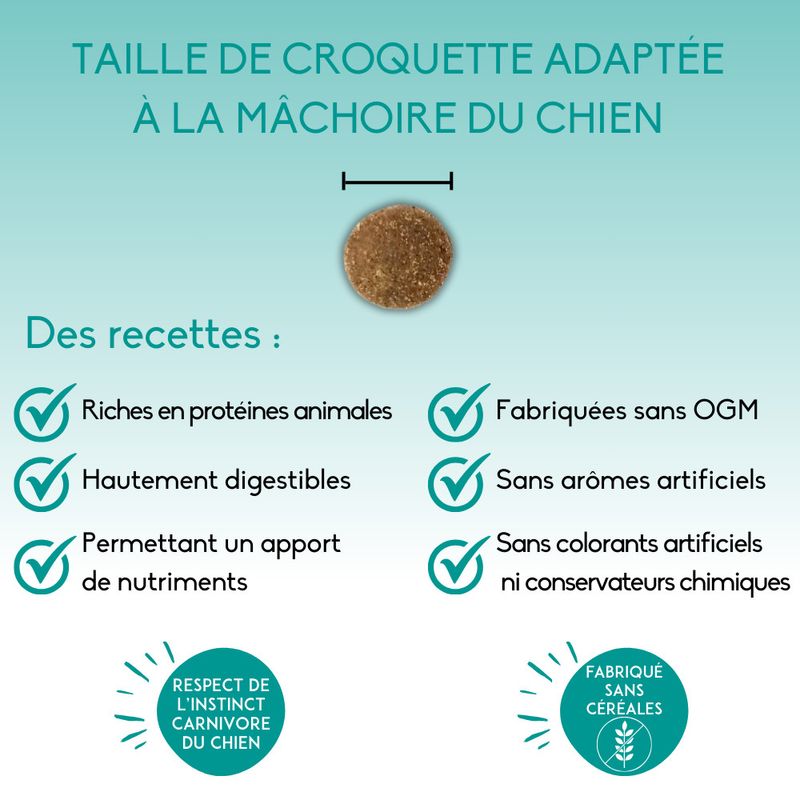 Nutrivet Inne Dog Nutritive